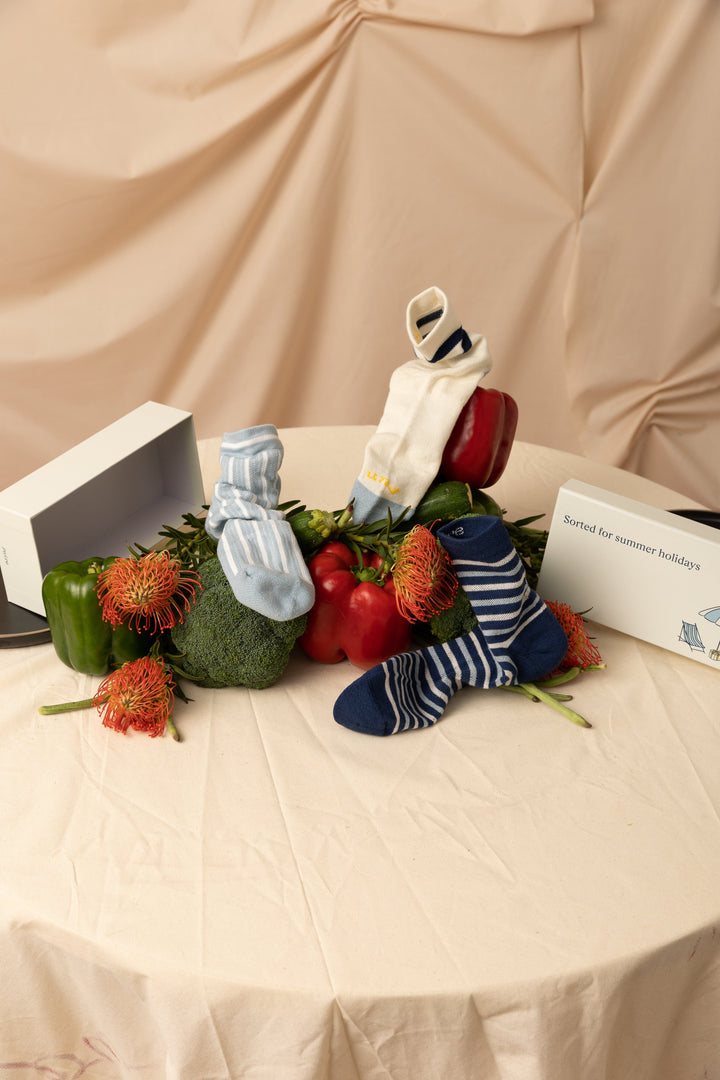 Holiday Socks Gift Box 2024