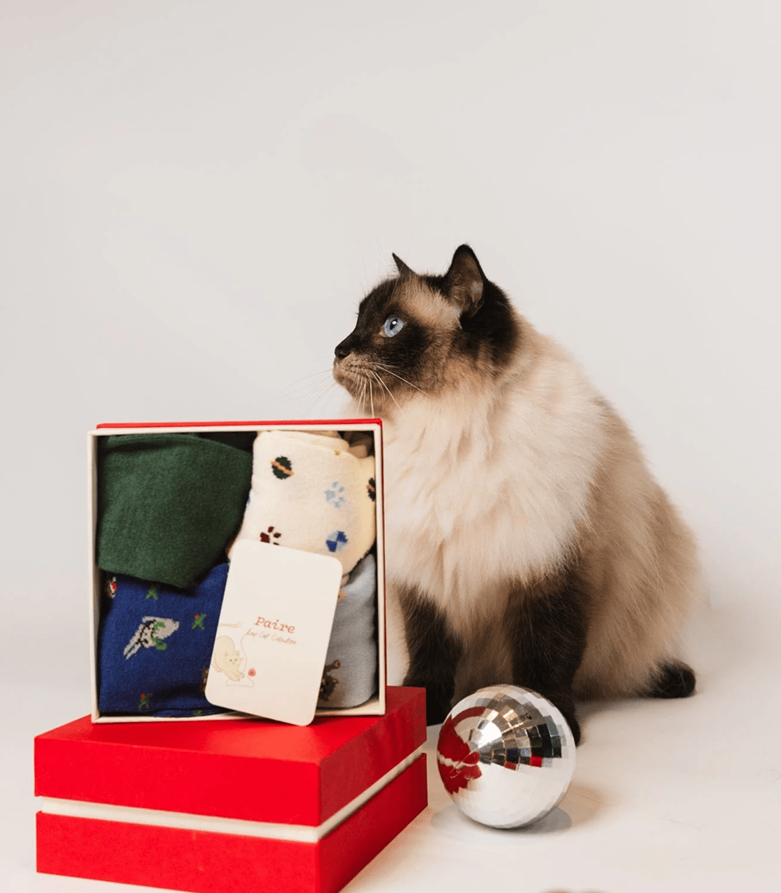Cat image