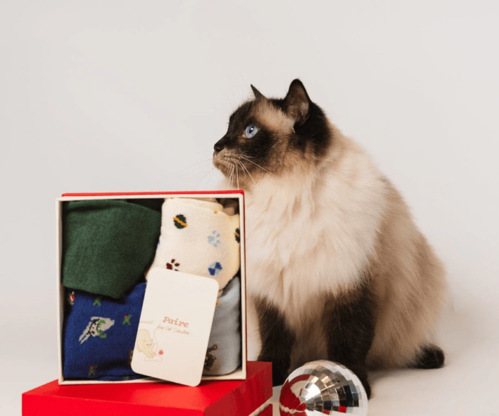 Cat image