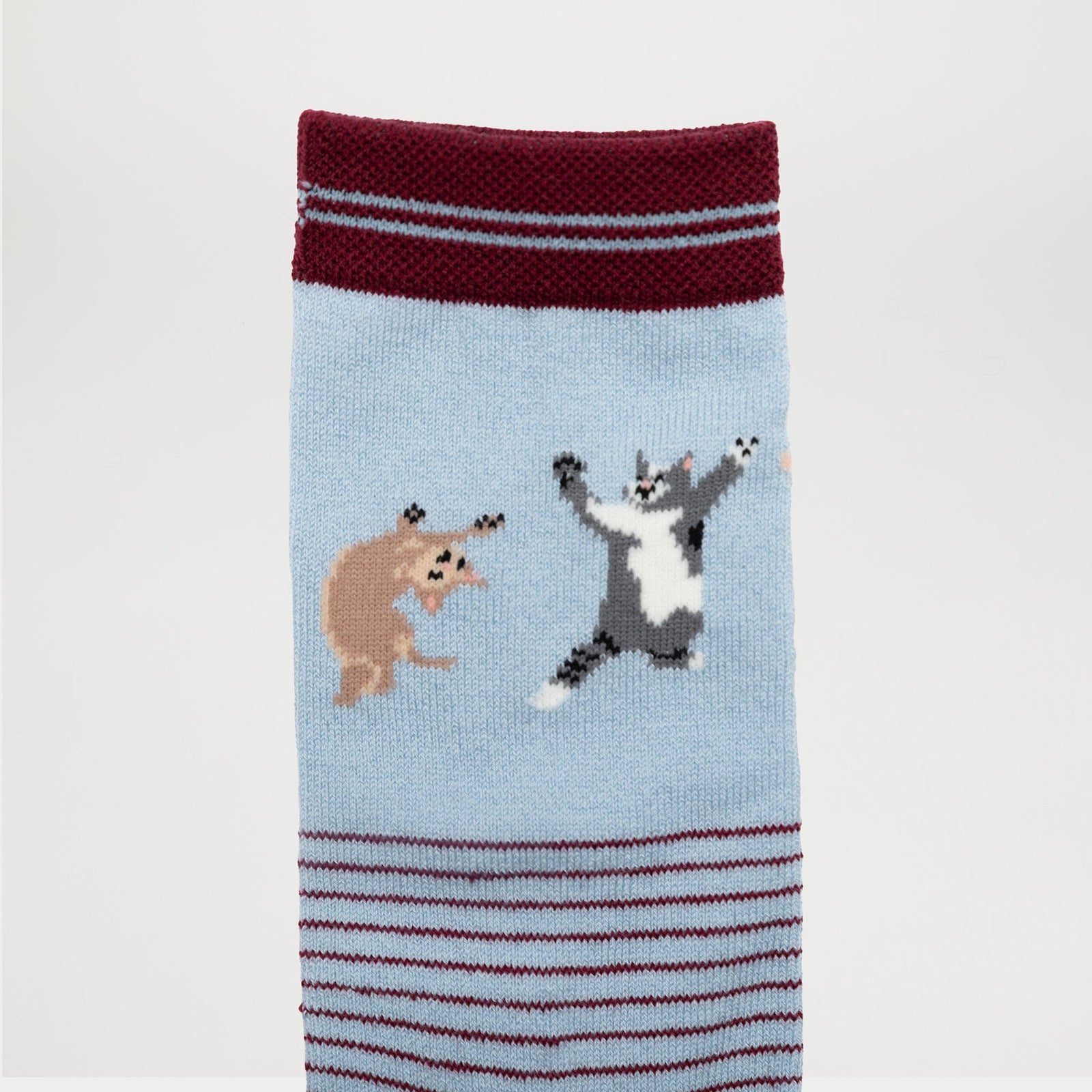 Lap Cat Collection Pack