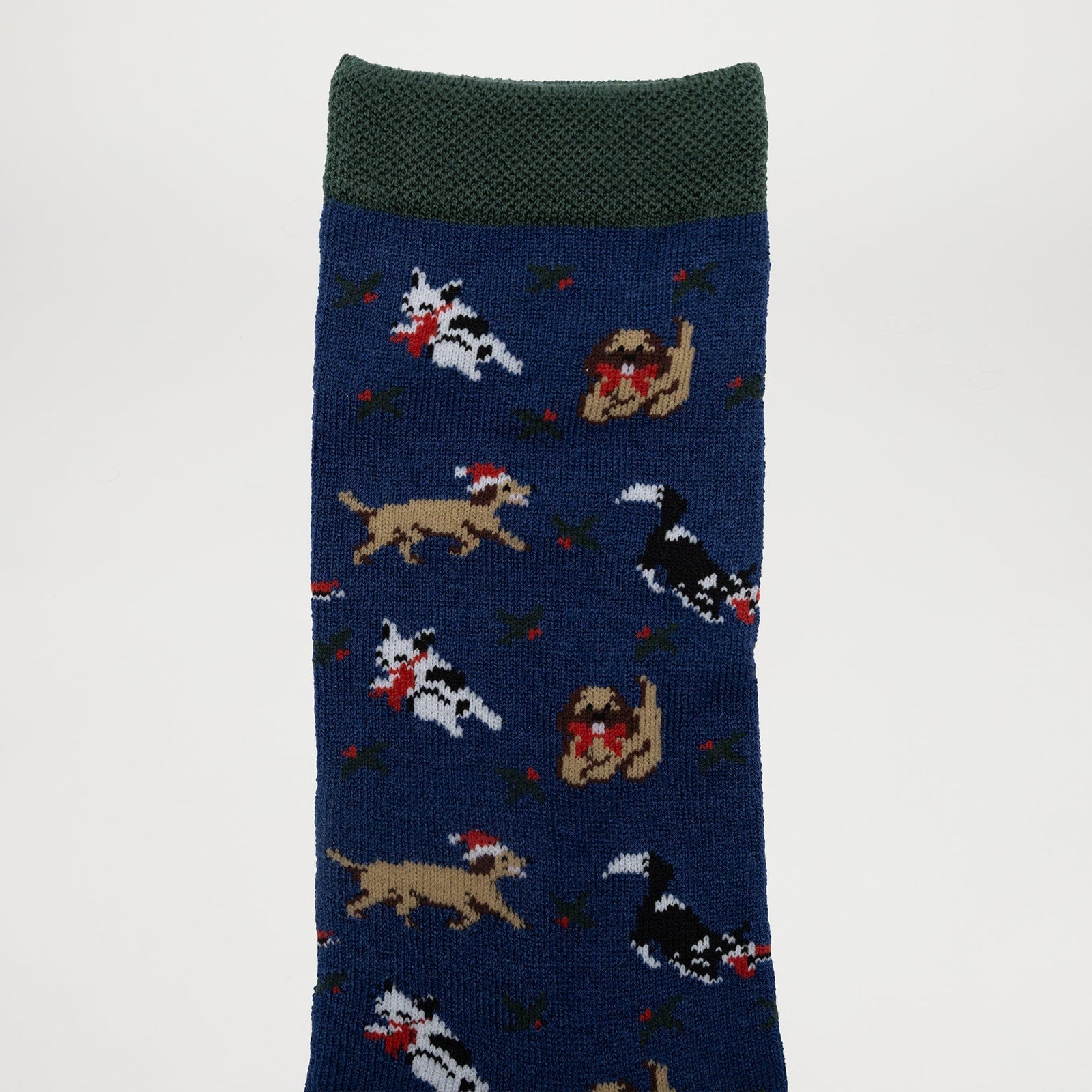 Best Mate Collection Pack