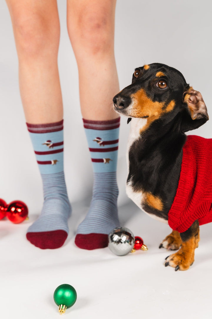 Best Mate Collection Pack