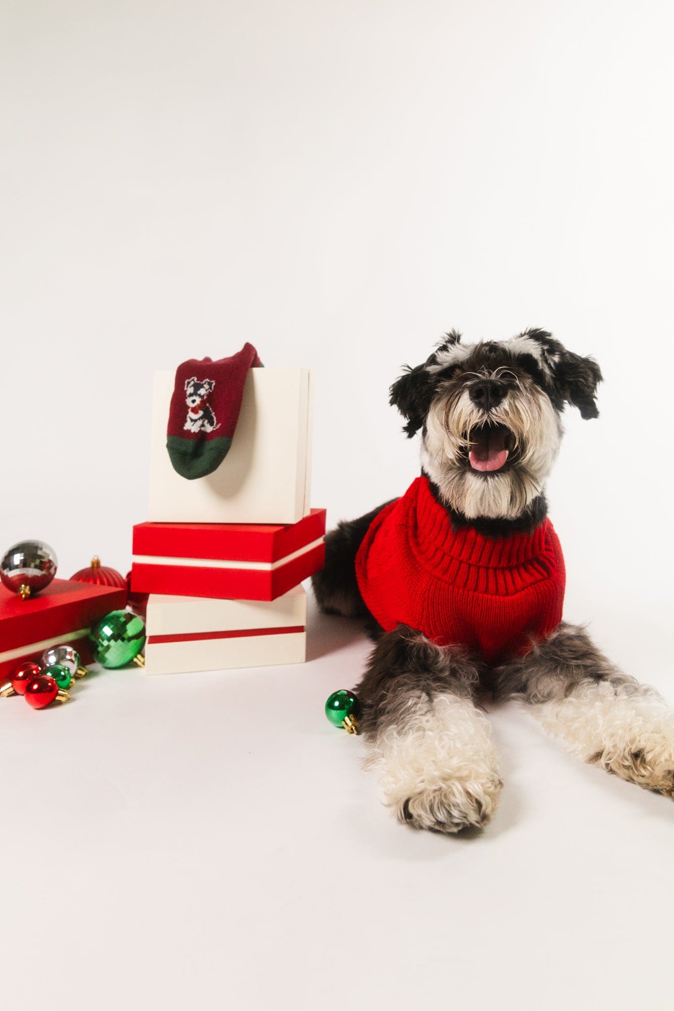 Best Mate Collection Pack